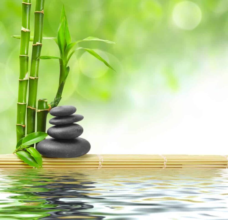 Rocks stacked alongside bamboo stalks, sitting on a wooden mat that is floating on water